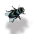 Fly!